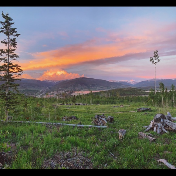 Hey guys - Picture 3 of 6